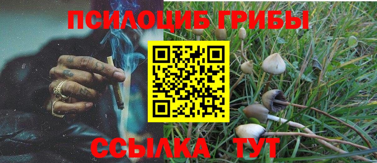 Псилоцибиновые грибы GOLDEN TEACHER Рузаевка