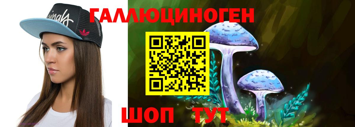 Псилоцибиновые грибы Psilocybe  Псилоцибиновые грибы мухоморы  Рузаевка  Вход с VPN 